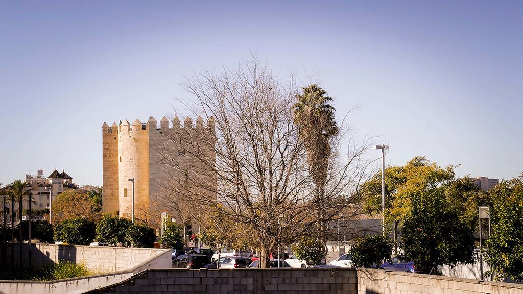 Ferienwohnung Apartamento La Calahorra Córdoba Exterior foto